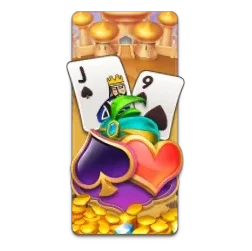 29 Cards